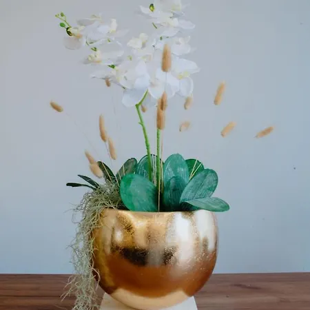 Etoile * Áyios Kírikos